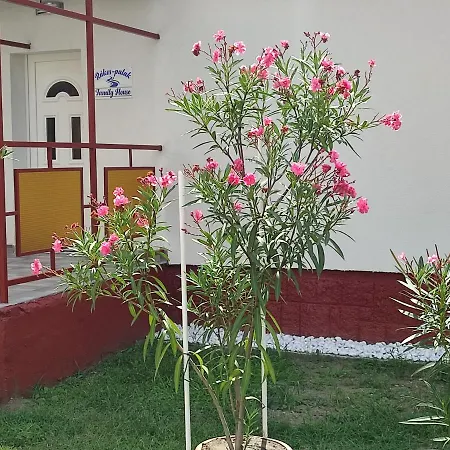 Rakos-patak Family House 招待所 布达佩斯