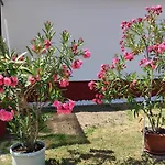 Guest house Rakos-patak Family House Garden & Free Parking