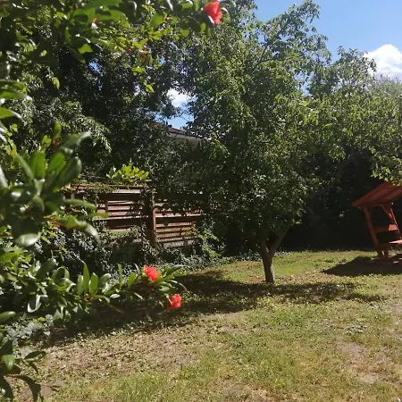Affittacamere Rákos-patak Family House *