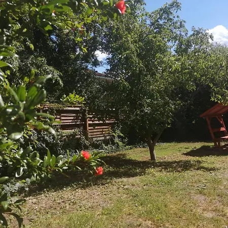 Πανσιόν Rakos-patak Family House Garden & Free Parking 4*