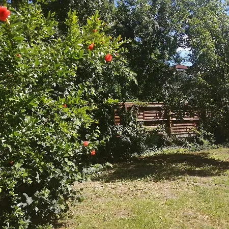 Rákos-patak Family House Garden&free Parking 4* Budapešť