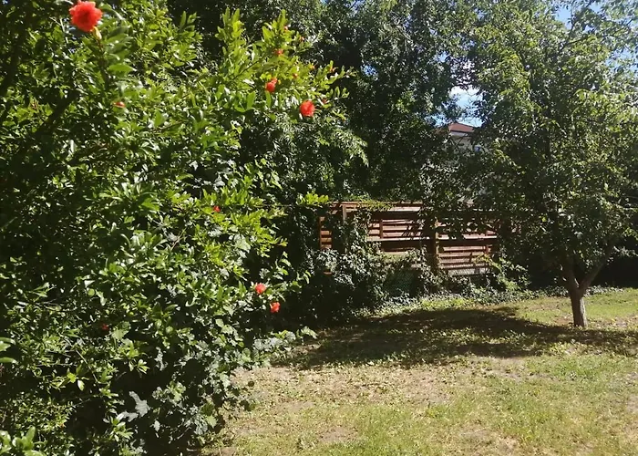 Rakos-patak Family House Garden & Free Parking 4* Budapesta