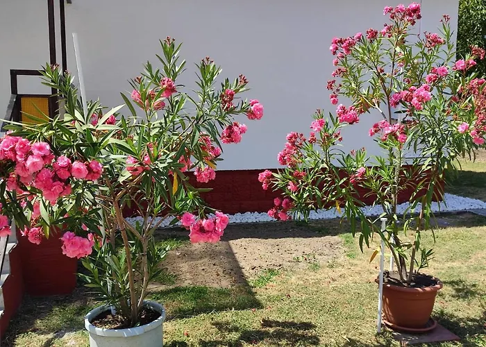 Gæstehus Rakos-patak Family House Garden & Free Parking